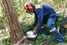 NSW Paddys Rivertree-cutting-services-21.jpg; ?>